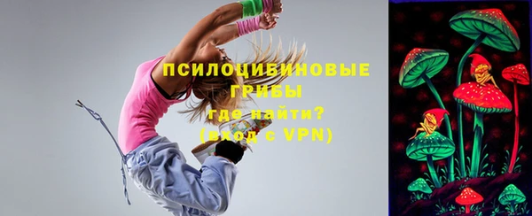 а пвп мука Ессентукская