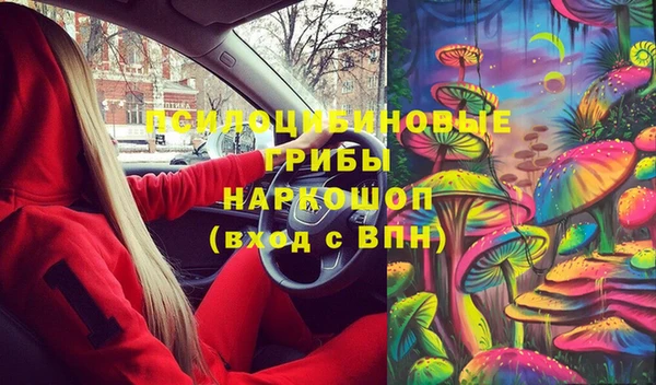 гидра Санкт-Петербург