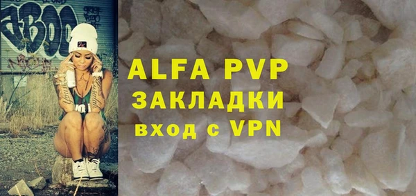 гидра Санкт-Петербург