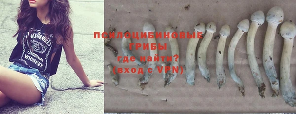 а пвп мука Ессентукская